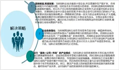 深入剖析，XX网站的可行性分析及未来发展前景，网站的可行性分析怎么写