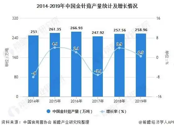 深入剖析，XX网站的可行性分析及未来发展前景，网站的可行性分析怎么写