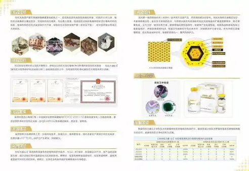 苏州网站开发，创新与品质的完美融合，打造专属您的网络新名片，苏州网站开发制作公司