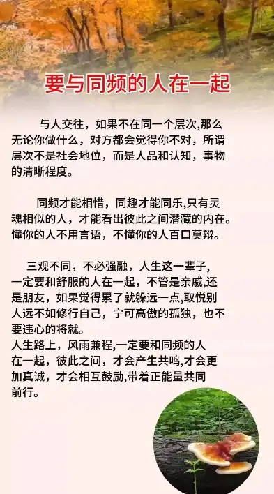 不但与谁携手，共绘人生画卷——探寻友谊的深度与广度，不但和谁是关联词