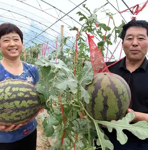 沈阳关键词优化排名揭秘，如何快速提升网站在搜索引擎中的排名？沈阳关键词推广公司