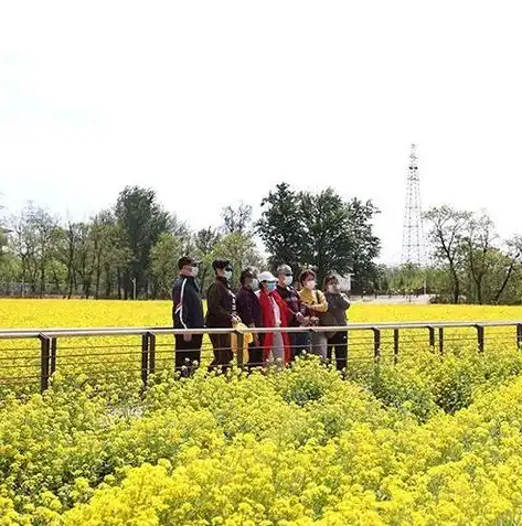 林芝关键词，探寻西藏的绿色秘境，林芝重点关注区域