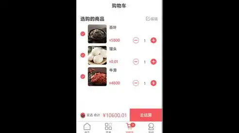 深度解析，网站模板源码网站，揭秘优质模板的选择与运用，网站模板源码网站怎么下载