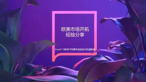 揭秘音乐网站源码来一品资源，深度解析音乐网站背后的奥秘，音乐网站 源码