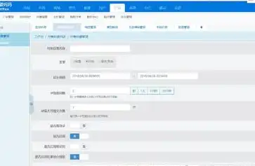 揭秘网站建设专家，如何打造高效、专业的企业网站，网站建设专家证书