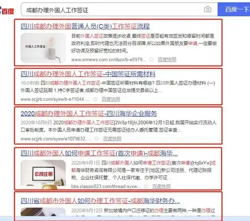 六安SEO关键词优化策略，精准定位，助力企业网络营销，六安百度推广