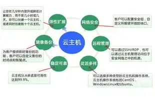 全面解析服务器主机与域名备案流程，助力企业合规运营，服务器主机和域名备案的区别