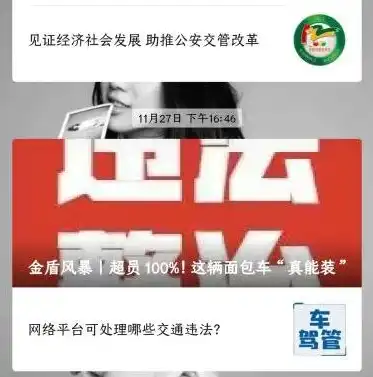 网站公安备案，了解其重要性与操作步骤，保障网络安全，网站公安备案查询