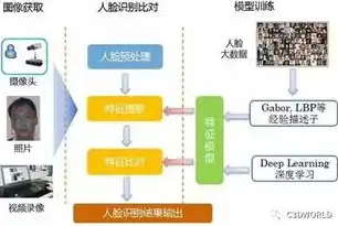 深度解析，服务器开发与后端开发的本质区别及其应用场景，服务器开发和后端开发的区别是什么意思