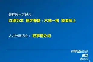 全方位人力资源优化策略，提升企业竞争力的秘籍，人力资源优化措施有哪些