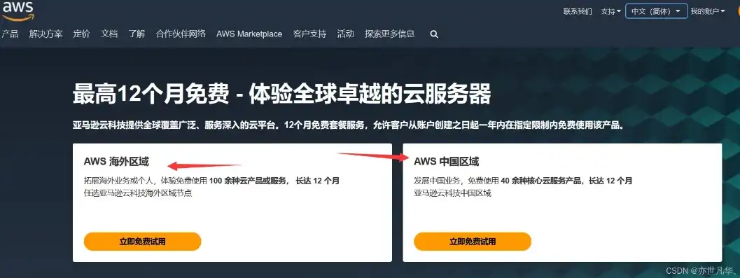 国外免费云服务器申请攻略，如何轻松获得免费资源，助力你的在线项目，国外云服务器哪家比较好呢