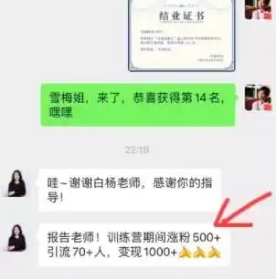 SEO与付费推广的协同效应，揭秘如何最大化营销效果，seo影响付费推广的效果吗对吗