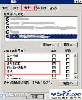 深入剖析IIS视频服务器播放问题，原因与解决方案详解，视频播放服务器运行失败