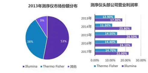 全面解析基础设施服务范围，支撑社会发展的基石，基础设施服务范围有哪些内容