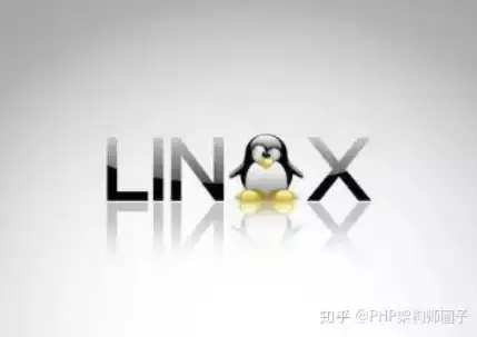 深入解析，如何选择合适的Linux服务器并实现高效购买策略，linux服务器价格