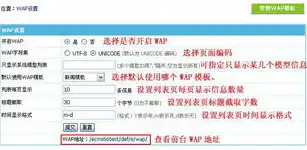 探索WAP网站的魅力，便捷、高效、随时随地