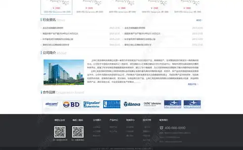 揭秘设计师门户网站源码，布局优化与功能实现全解析，设计类网站源码