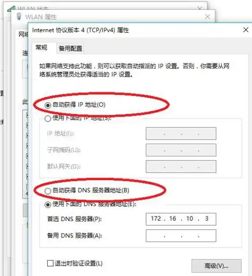 解析困扰，域名无法找到DNS服务器的原因及解决之道，找不到域名的服务器ip地址