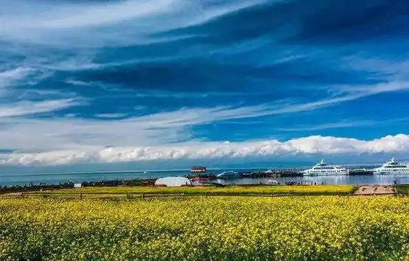 青海旅游攻略，关键词网络推广助力畅游青海美景，青海关键词网络推广公司