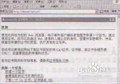 深入解析2003证书服务器，功能、配置与维护技巧，证书服务器的作用