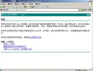 深入解析2003证书服务器，功能、配置与维护技巧，证书服务器的作用
