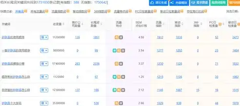 揭秘SEO关键词收费之谜，全面解析优化策略与费用结构，seo关键字收费标准