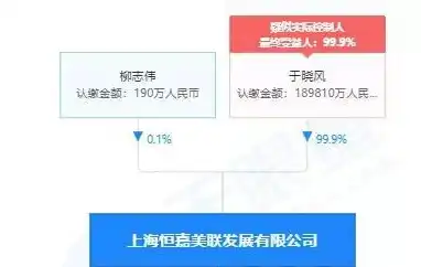 揭秘保险行业网站源码，构建专业保险平台的秘密武器，保险行业网站源码是什么