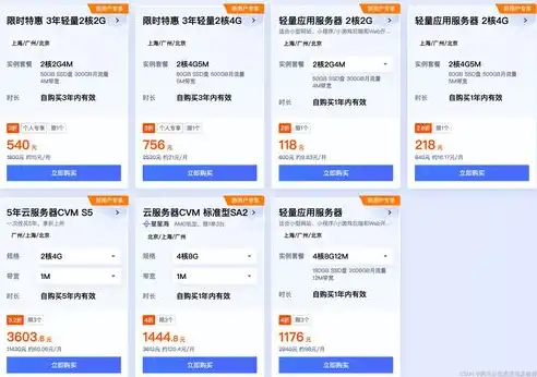 全方位解析租用服务器价格，性价比与配置揭秘，租用服务器的价格是什么