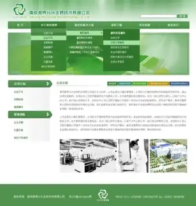 南京网站设计公司，专业打造企业品牌新形象，助力企业腾飞，南京网站设计公司有哪些