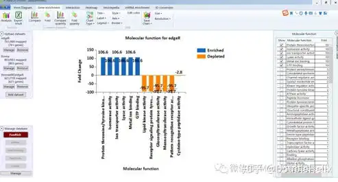 WiFi吞吐量，揭秘无线网络传输的物理奥秘，wifi吞吐量的计算公式