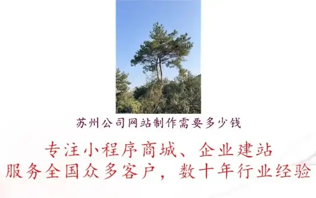 苏州地区网站建设，专业定制，助力企业互联网转型，苏州做网站需要多少钱