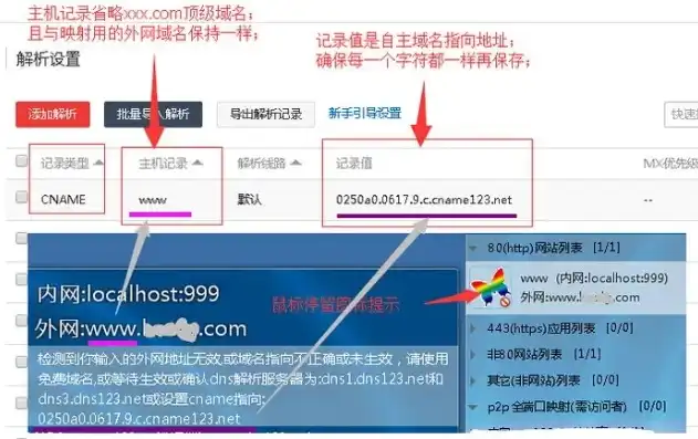 揭秘域名抢注网站源码，技术解析与安全防范，域名抢注网站源码查询