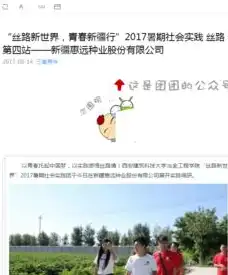 探索新疆网站建设，打造地域特色，助力企业腾飞，新疆网络建设