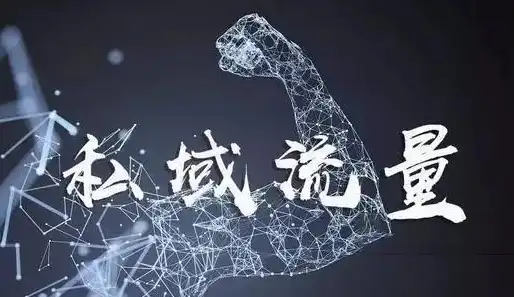 SEO与运营，携手共进，助力企业实现网络营销双丰收，seo和运营的区别