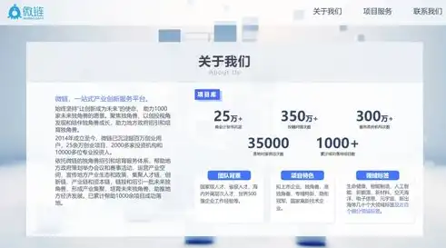 洛阳网站优化，全方位策略提升网站排名，助力企业品牌腾飞，洛阳专业网站优化排名