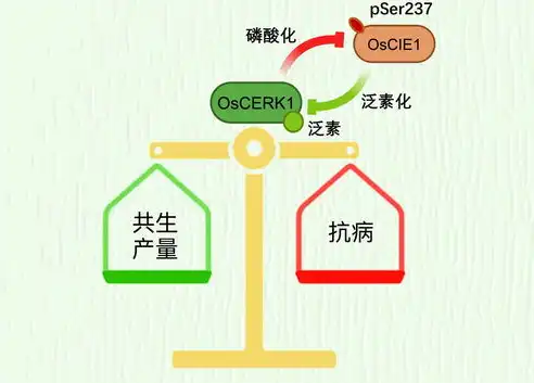 关键词设计的宽泛度探讨，如何平衡精准与包容性，关键词可以设计宽泛吗为什么