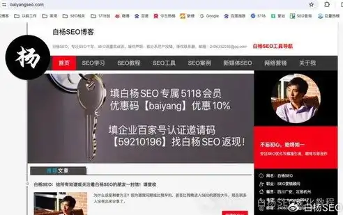 东营百度关键词SEO策略，优化技巧与实战案例分享，东营百度关键词优化