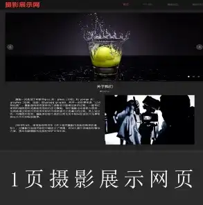 摄影艺术之旅——揭秘摄影作品展示网站Flash全站源码的魅力，摄影作品展示app