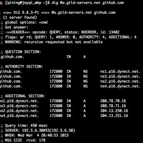 VPS DNS服务器在实现网络负载均衡中的关键作用与应用策略，vps和dns