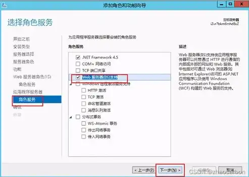 深入解析IIS在服务器上的应用与优化策略，服务器上的IIS Sample漏洞