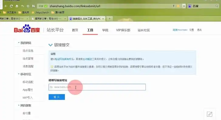 百度网站提交攻略，全方位解析优化策略，助您提升网站排名，百度网站提交入口