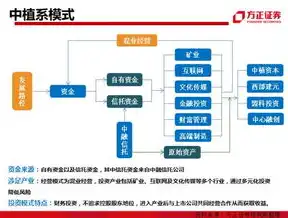 揭秘，为何做网站不给源码程序，揭秘其中的奥秘与风险，做网站不给源码程序怎么回事