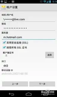 深入解析Hotmail服务器设置，优化邮件体验的秘诀，hotmail服务器设置苹果