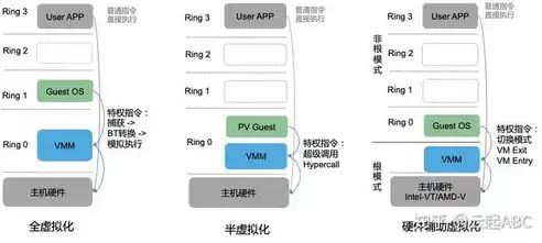 虚拟化架构实现过程中的差异化策略解析，虚拟化架构的三种模式