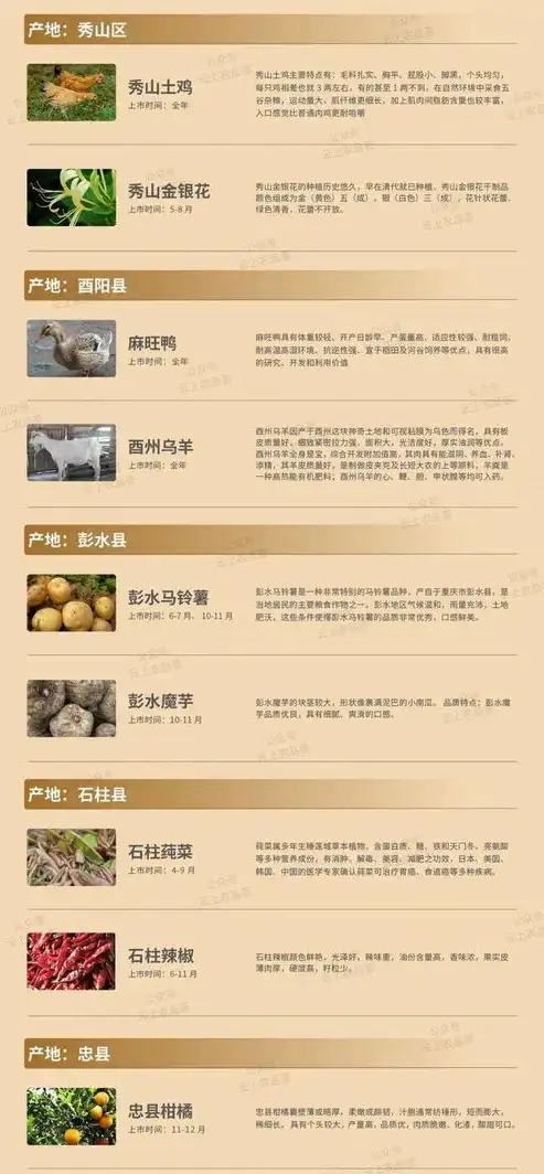 匠心独运，打造特色和县网站建设新篇章，和县网站开发