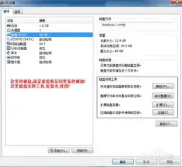 深入解析，VMware虚拟机手动修改硬件信息去虚拟化操作指南，虚拟机修改硬件信息可以过检测吗