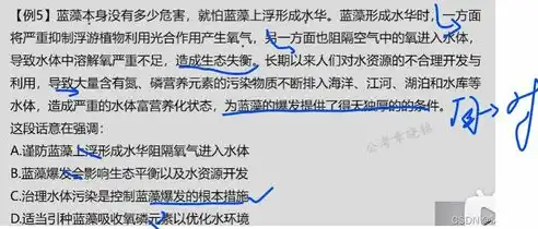 揭秘网站关键词消失之谜，原因分析及应对策略，网站关键词没有了怎么办