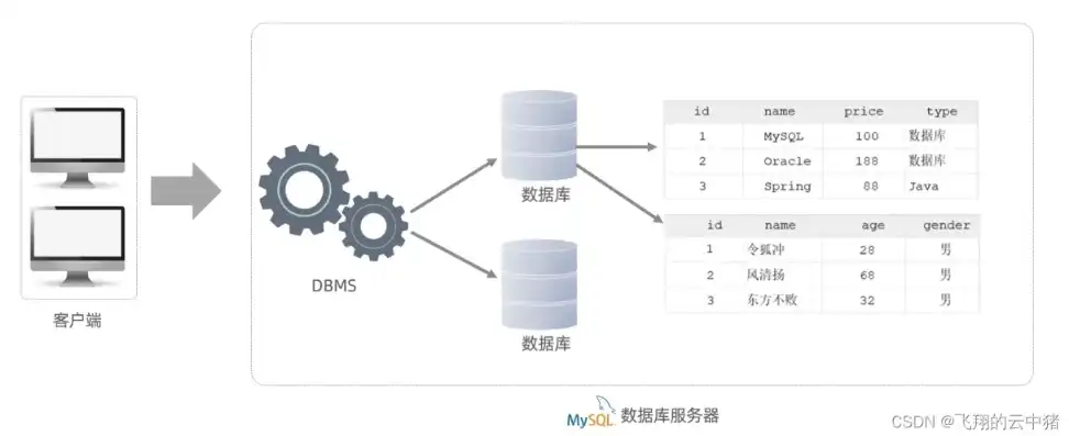 揭秘关系数据库中的二维表，数据存储的基石，在关系数据库中,二维表称为