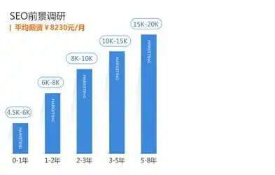 上海SEO优化服务费用解析，性价比与市场行情一览，上海优化seo公司