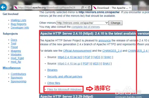 Apache服务器64位版本下载攻略，一站式安装指南